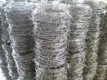 刺绳护栏网 - 河北振兴金源丝网集团图片4