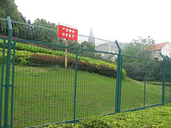 果园护栏网 - 河北振兴金源丝网集团图片4